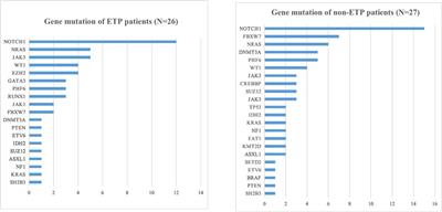 Comparison of characteristics and outcomes on ETP-ALL/LBL and non-ETP ALL patients receiving allogeneic hematopoietic stem cell transplantation